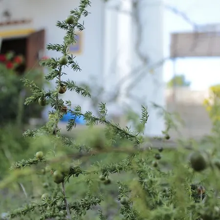 Casa Maia